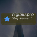 higibiu.pro
